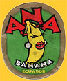 ANA-E-0234