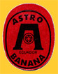 ASTRO-E-1036