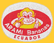 Arami-E-1219