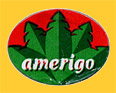 amerigo-0814