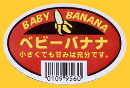 Baby_Banana-0558