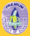 Bagno-E-1962