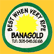 Banagold-1701