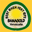 Banagold-V-1699
