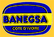 Banegsa-blue-2012