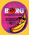 Borg-E4011-1900