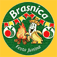 Brasnica-2134