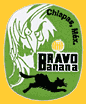 Bravo-gruen-Katze-1281