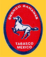 Bronco-0624