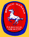 Bronco-1875