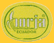 borja-E-gelb-1213