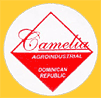 Camelia-Dom-2271