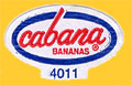 cabana-4011-0255