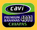 cavi-0515