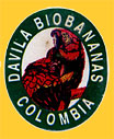 DAVALIA-C-0272