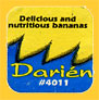 Darien-0047