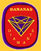 Diamante-1873