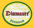 Diamante-E-1031