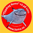 Dole-Nemo-Nor-Bruce-1943