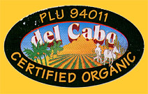 delCabo-94011-0539