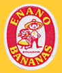 ENANO-1173