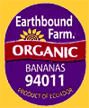Earthbound-E94011-2087