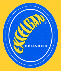 Excelban-55x46mm-0415