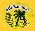 Fili-0528