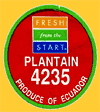 Fresh-E-4235-2392