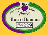 Friedas-Burro-4229-0300