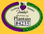 Friedas-Plantain-4235-0299