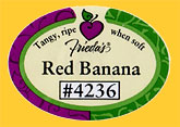 Friedas-Red-4236-0194