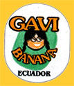 GAVI-E-1044