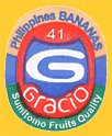 Gracio-Ph-41-1620