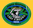 LADY_FINGERS-0253