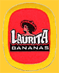 Laurita-1991