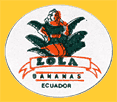 ola-E-1993