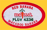 melissas-4236-0281