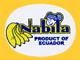 Nabila-E-1444
