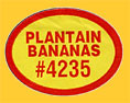PLANTAIN-4235-0249