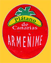 Platano_de_CANARIAS-0803