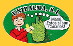 Platano_de_CANARIAS-1431