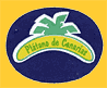 Platano_de_Canarias-1180