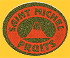 Saint_Michel-2302