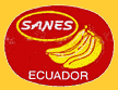 Sanes-E-1224