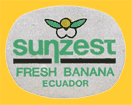 sunzest-E-1117