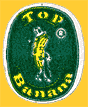 TOP-2046