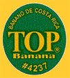 TOP-4237-0973