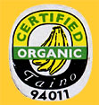Taino-0173