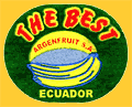 TheBest-E-2139